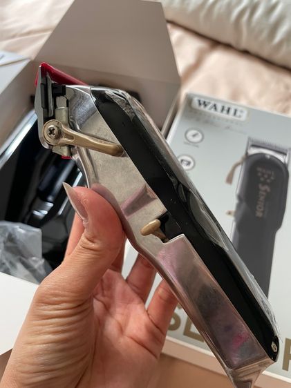 ปัตตาเลี่ยน รูปที่ 3