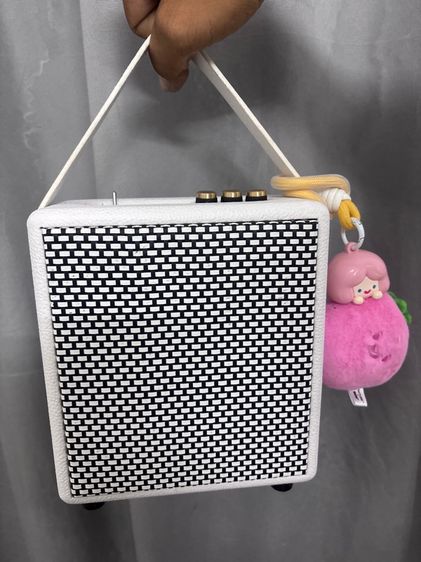 ลำโพงบูลทูธ DIY BY ELVÉ รูปที่ 8