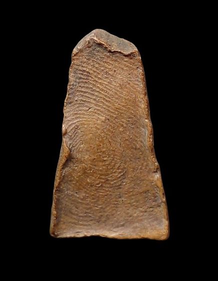 พระผงสุพรรณ รูปที่ 2