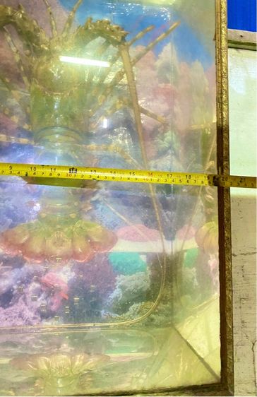 กุ้งมังกรสตาฟแท้ พร้อมกรอบแขวน รูปที่ 2