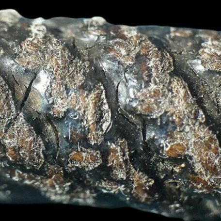 ตะกรุดมงคลโสฬส หลวงปู่เอี่ยม. รูปที่ 6