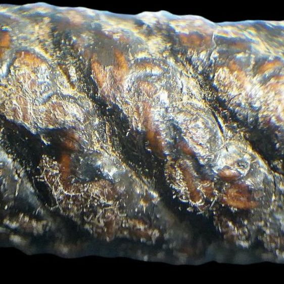 ตะกรุดมงคลโสฬส หลวงปู่เอี่ยม. รูปที่ 5