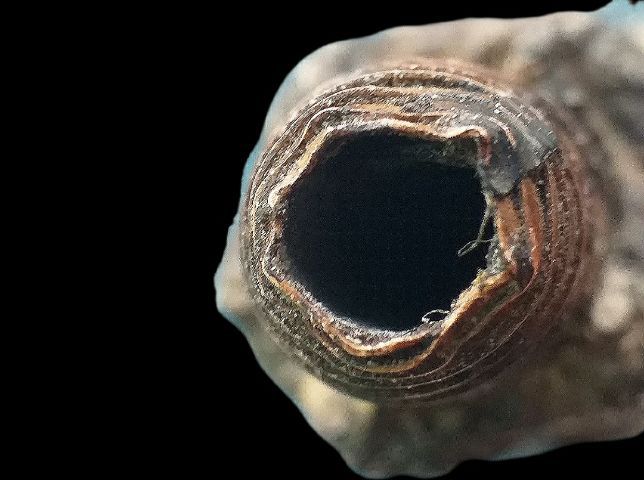 ตะกรุดมงคลโสฬส หลวงปู่เอี่ยม. รูปที่ 9