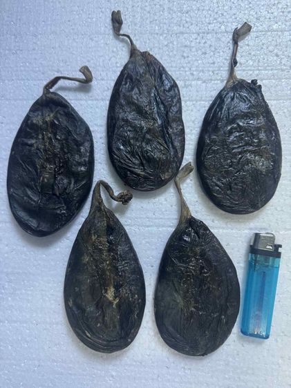 ของเก่าทำยา รักษาโรค รักษาสุขภาพ รูปที่ 3