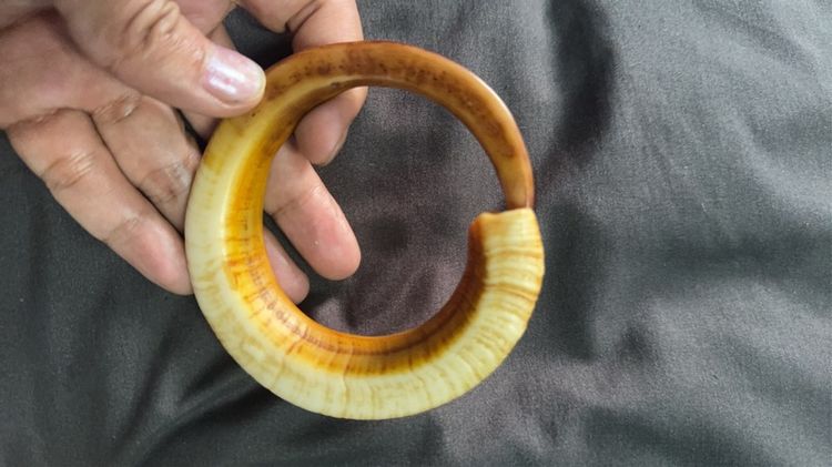 ของเก่าลุงที่บ้านพม่า รูปที่ 5