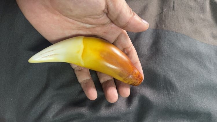 ของเก่าลุงที่บ้านพม่า รูปที่ 2