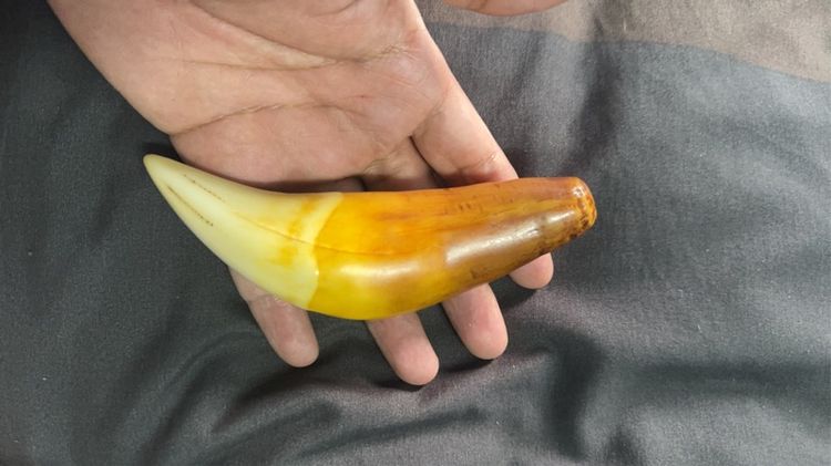 ของเก่าลุงที่บ้านพม่า รูปที่ 4