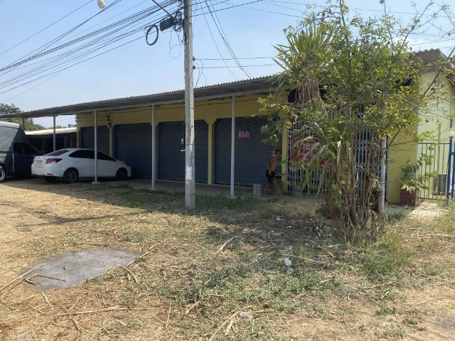 มีบางส่วน ขายบ้านพร้อมที่ดิน 1 ไร่ 3 งาน ติดต่อต่อ 097-9737435วิเชียร รูปที่ 3