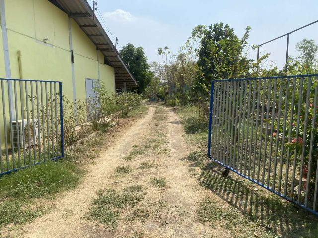 มีบางส่วน ขายบ้านพร้อมที่ดิน 1 ไร่ 3 งาน ติดต่อต่อ 097-9737435วิเชียร รูปที่ 4