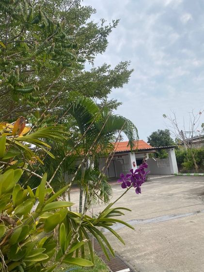 ใช่ โรงแรม รูปที่ 3