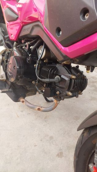 msx125sf รูปที่ 6