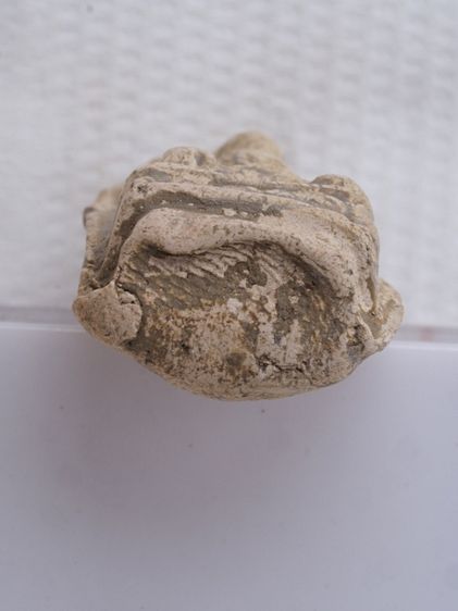 พระรอด 02126810 รูปที่ 3