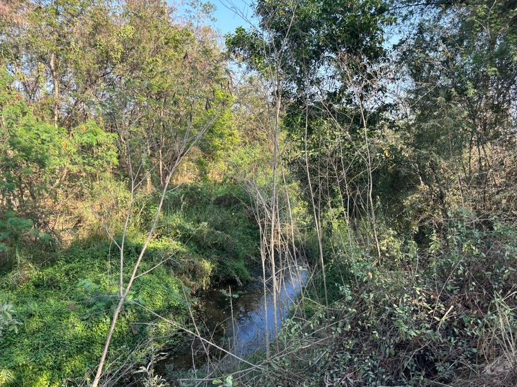 ขายที่ดินเปล่า หัวหิน ทับใต้ 12-3-13 ไร่ ติดถนน ทำเลดี ใกล้แม็คโคร ปราณบุรี รูปที่ 4