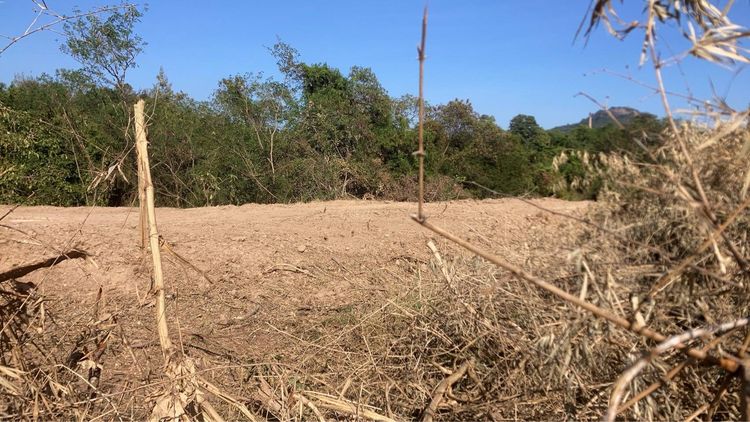 ขายที่ดินเปล่า หัวหิน ทับใต้ 12-3-13 ไร่ ติดถนน ทำเลดี ใกล้แม็คโคร ปราณบุรี รูปที่ 2