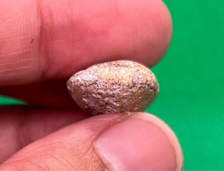 พระกรุวัดพลับ รูปที่ 4