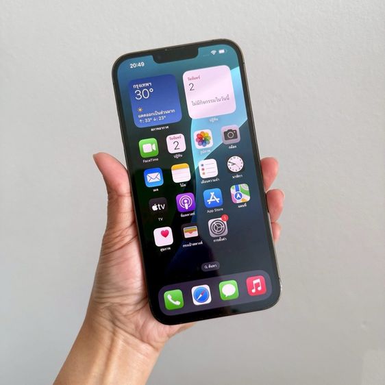 iphone 13 pro max 256g