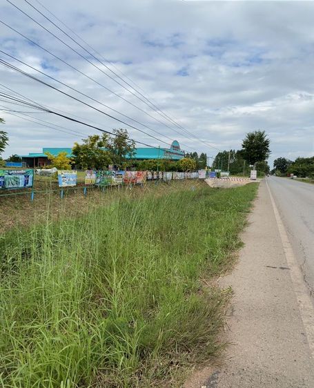 ไม่ใช่ ขายที่ดินเปล่า ติดถนนสายหลัก รูปที่ 4
