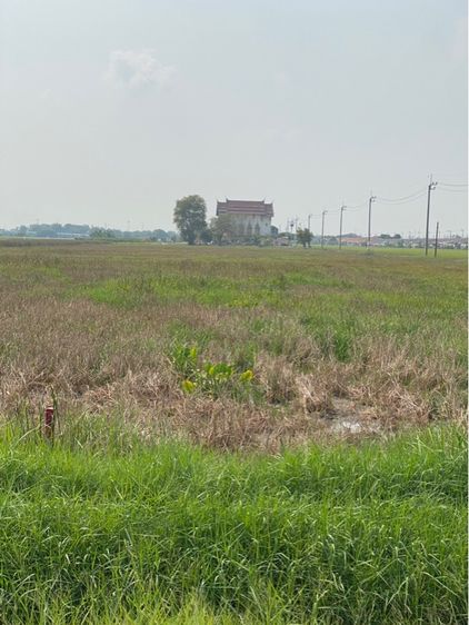 ไม่ใช่ ที่ดินเปล่าติดถนน เขตหนองจอก รูปที่ 4