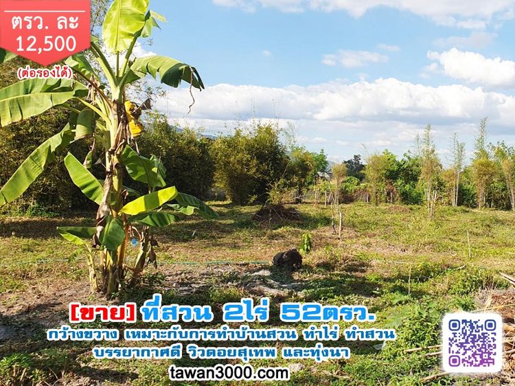 ขาย2ไร่52ตรว. ที่สวน กว้างขวาง บรรยากาศดี วิวดอยสุเทพ-ทุ่งนา ติดลำน้ำ พร้อมโอนจ้าๆๆ