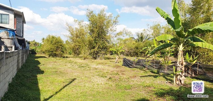 ขายที่สวน 2ไร่52ตรว. กว้างขวาง บรรยากาศดี วิวดอยสุเทพ-ทุ่งนา ติดลำน้ำ พร้อมโอนจ้าๆๆ รูปที่ 4