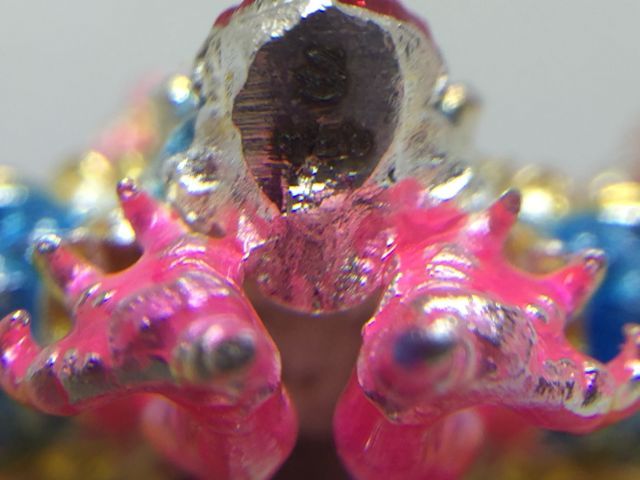 พญาครุฑมังรายศาสตร์ รูปที่ 3