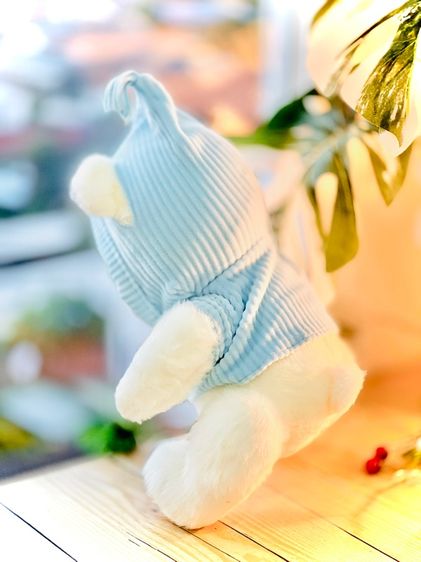 ชุดเซ็ทตุ๊กตาน่ารัก 3 ชิ้น 🧸🎀 รูปที่ 12