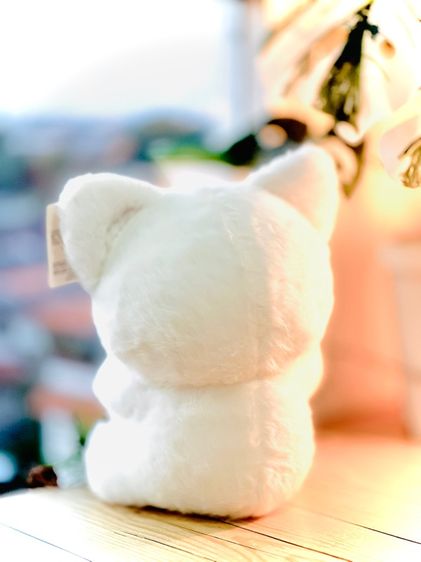 ชุดเซ็ทตุ๊กตาน่ารัก 3 ชิ้น 🧸🎀 รูปที่ 9