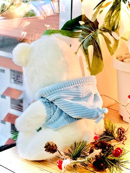ชุดเซ็ทตุ๊กตาน่ารัก 3 ชิ้น 🧸🎀 รูปที่ 13