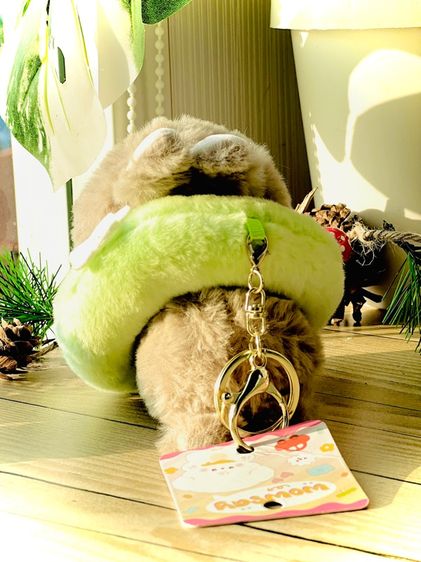 ชุดเซ็ทตุ๊กตาน่ารัก 3 ชิ้น 🧸🎀 รูปที่ 3