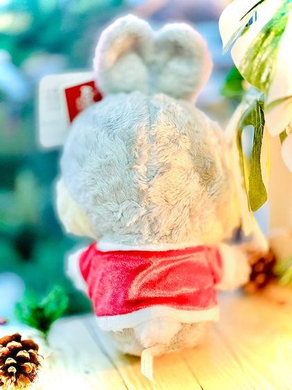 ชุดเซ็ทตุ๊กตาน่ารัก 2 ชิ้น 🧸🎀 รูปที่ 7