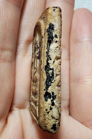 🍄พระสมเด็จ วัดระฆัง พิมพ์ฐานแซม🍄 รูปที่ 4