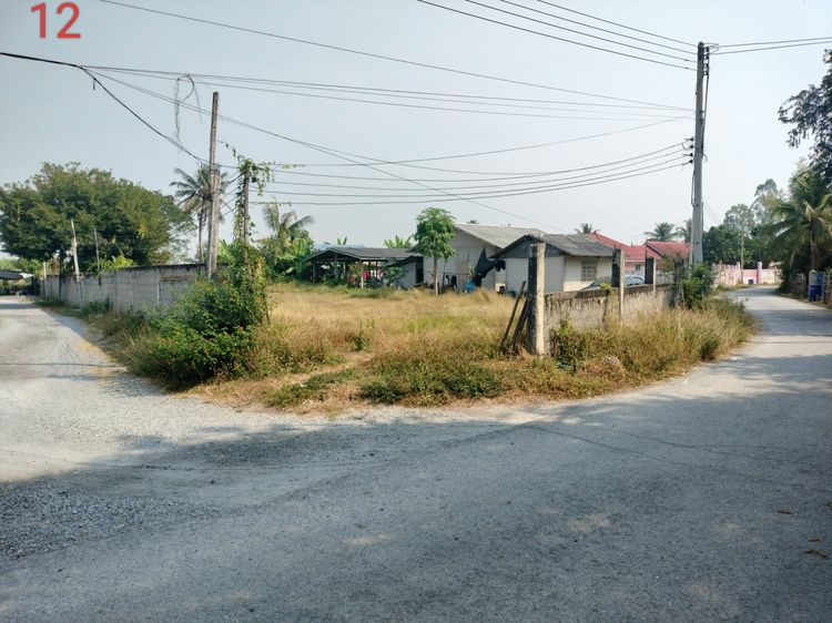 ขายที่ดินแปลงสวยๆ (อู่ทอง สุพรรณบุรี)  รูปที่ 4