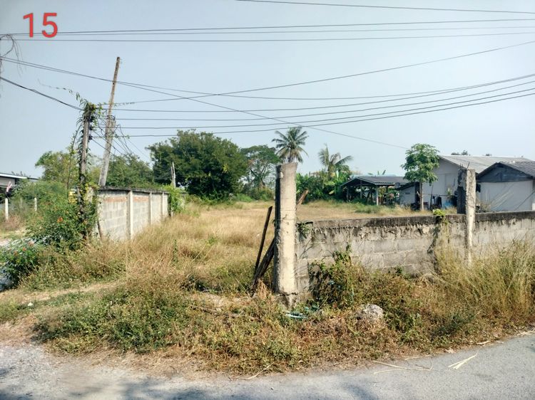 ขายที่ดินแปลงสวยๆ (อู่ทอง สุพรรณบุรี) 