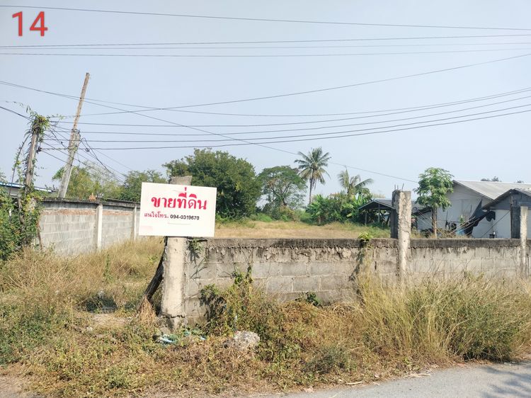 ขายที่ดินแปลงสวยๆ (อู่ทอง สุพรรณบุรี)  รูปที่ 2