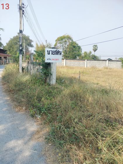 ขายที่ดินแปลงสวยๆ (อู่ทอง สุพรรณบุรี)  รูปที่ 3