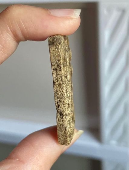 พระสมเด็จวัดระฆัง รูปที่ 4