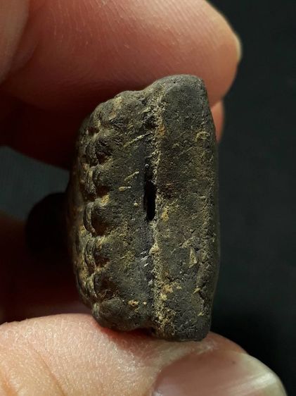 หลวงปู่ทวดเนื้อว่าน วัดช้างให้ จังหวัดปัตตานี รูปที่ 5