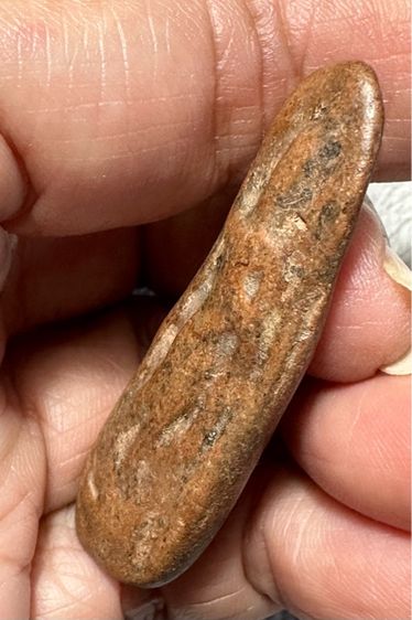 พระลีลากำแพงพลูจีบ รูปที่ 4