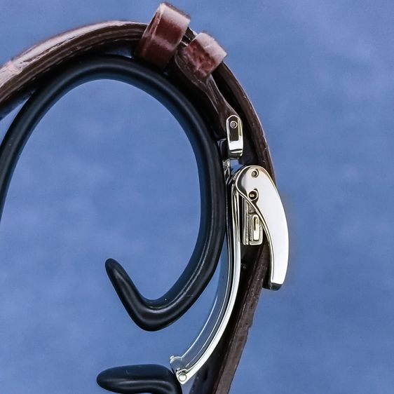 Seiko Alpinist SPB121J (Alpinist เขียวในตำนาน) รูปที่ 13