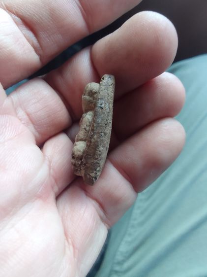 หลวงพ่อทวด97 รูปที่ 4