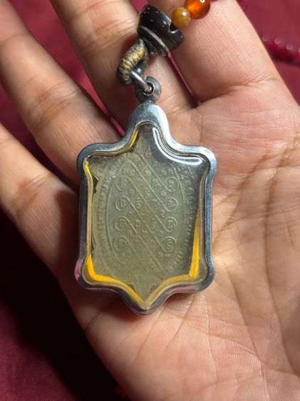 เต่าหลวงปู่หลิว รูปที่ 2