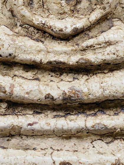 อกกระบอกใหญ่ - มีมวลสาร 1ในไม่กี่องค์  - พิมพ์สร้างน้อย - หายาก ให้เช่า พระบ้านสวยระดับติดเบอร์ พระสมเด็จวัดระฆัง พิมพ์เจดีย์ใหญ่ สองคลอง รูปที่ 9