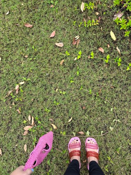 Melissa  รูปที่ 3