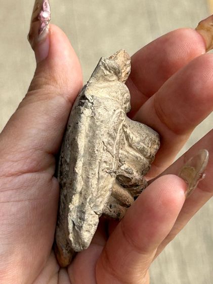 พระเครื่องไม่ทราบที่ รูปที่ 6