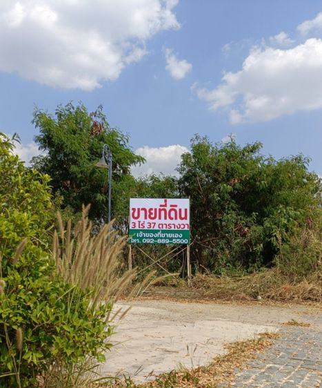ขายที่ดินเปล่า ไม่มีสิ่งปลูกสร้าง ตั้งอยู่ในโครงการ ณุศามายโอโซน