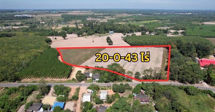 ขายที่ดินเปล่า  20 ไร่  พนมสารคาม ฉะเชิงเทรา เขต EEC ราคาต่อวาไม่ถึงพัน เข้าออกได้ทั้งถนน 304 และ 331