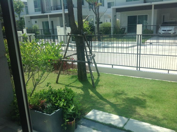 Land and Houses ไม่มี 2012 บ้านเดี่ยว หมู่บ้านสีวลีบางนา ทำเลติดถนนใหญ่บางนา-ตราด รูปที่ 4