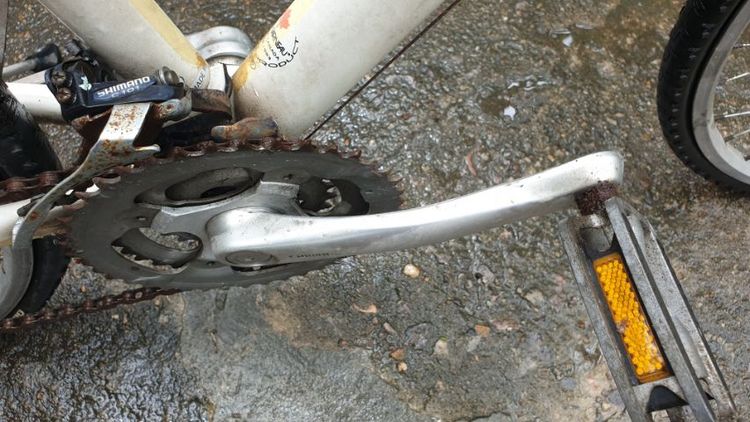 ขายจักรยาน รูปที่ 9