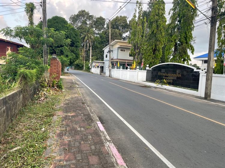 ไม่ใช่ Vายที่แปลงสวยใกล้หาดแหลมสิงห์ รูปที่ 2