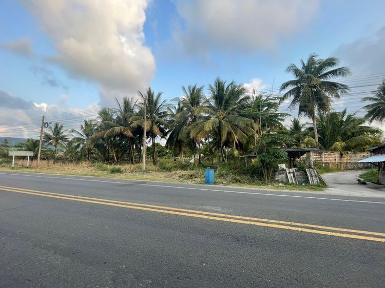 ไม่ใช่ Vายที่แปลงสวยใกล้หาดแหลมสิงห์ รูปที่ 4